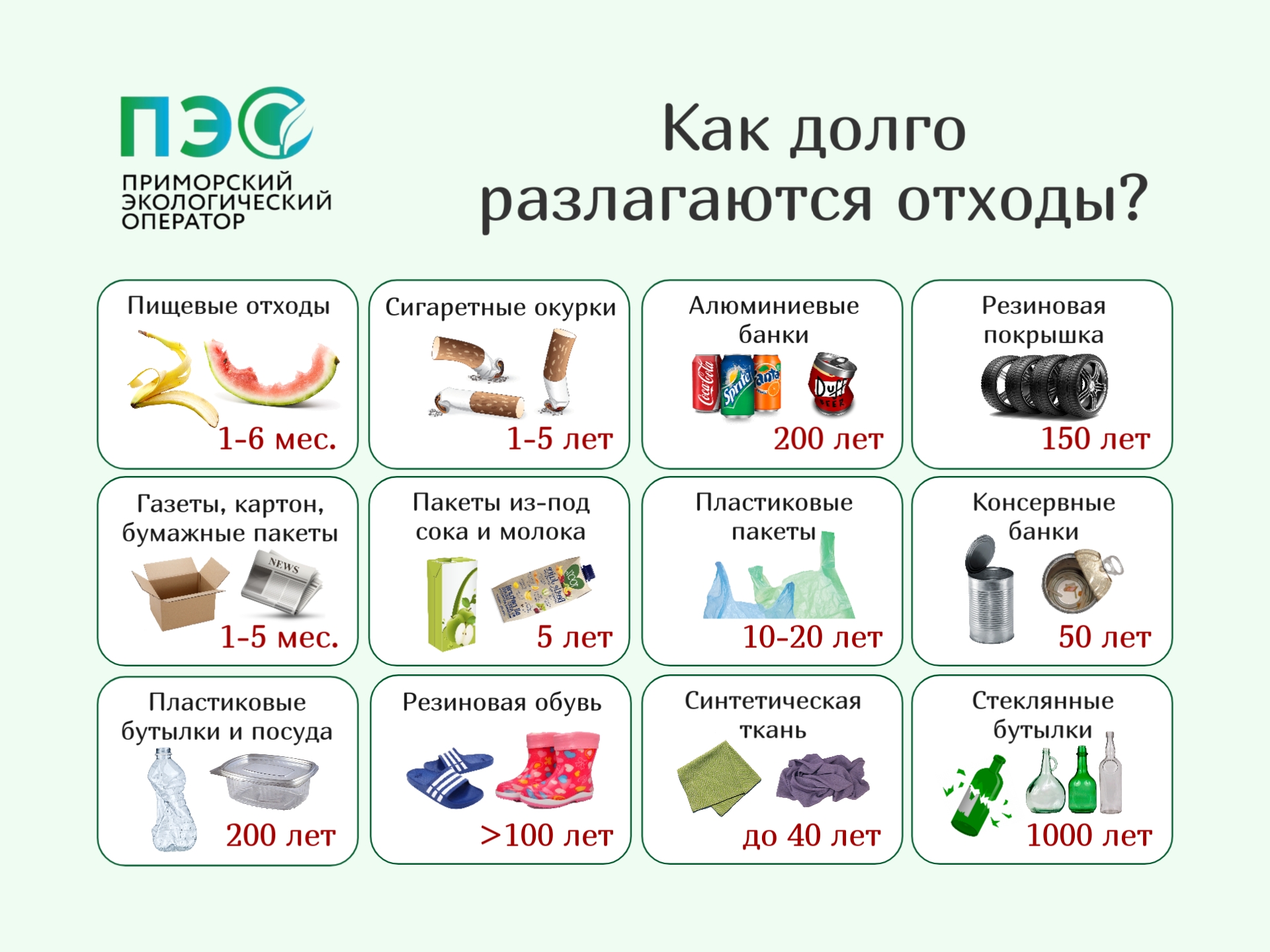 Как долго разлагаются отходы и почему важно правильно их утилизировать.